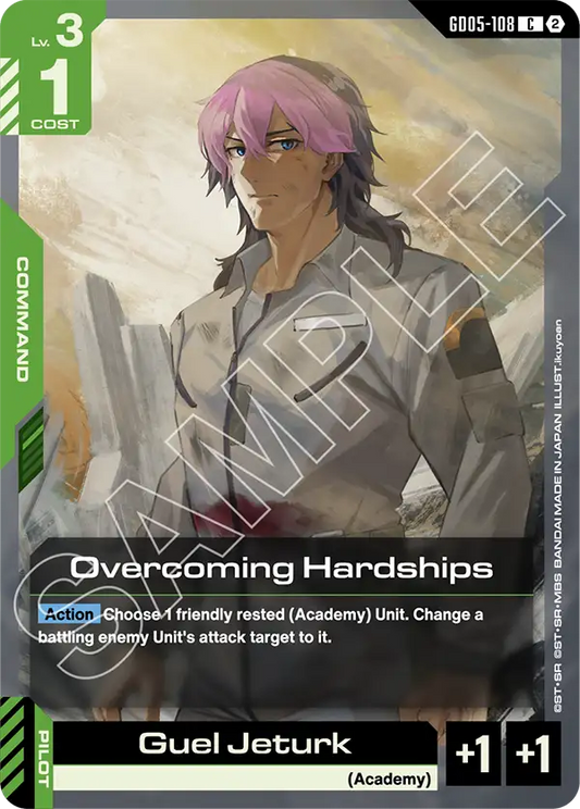 Overcoming Hardships