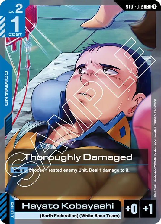 Thoroughly Damaged